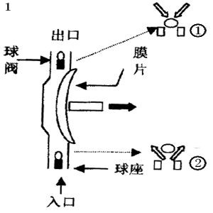 隔膜式計量泵工作原理