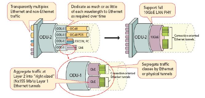 客戶側匯集的各種協(xié)議使得OTN成為高性價比通用基本結構