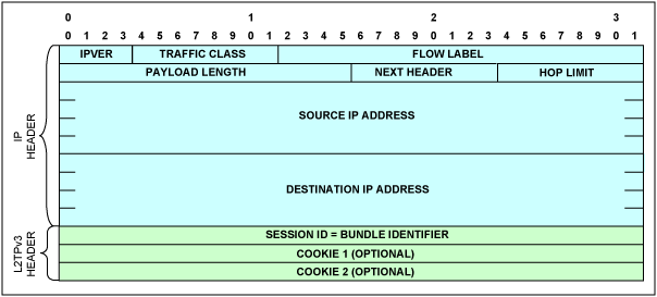 圖9. L2TPv3/IPv6報(bào)頭