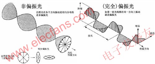 偏振光和偏振眼睛的原理 ttokpm.com