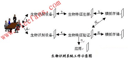 生物識別系統(tǒng)