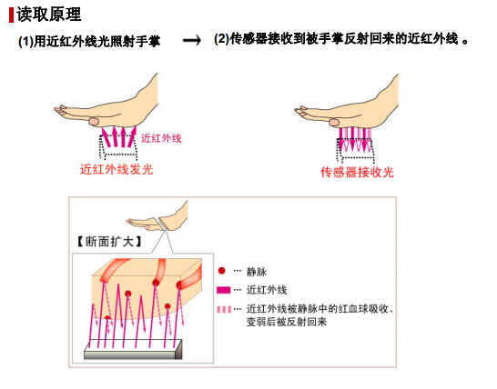 非接觸型手掌靜脈識(shí)別技術(shù)解析