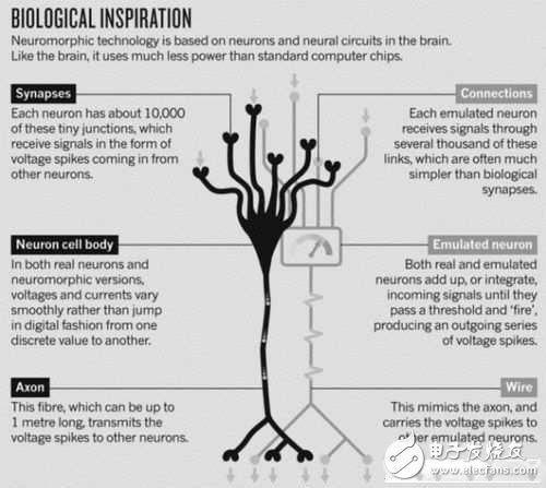 神經(jīng)形態(tài)芯片市場(chǎng)即將起飛
