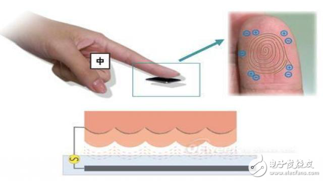 垂直射頻 新型指紋識別技術(shù)助力智能手機更便利