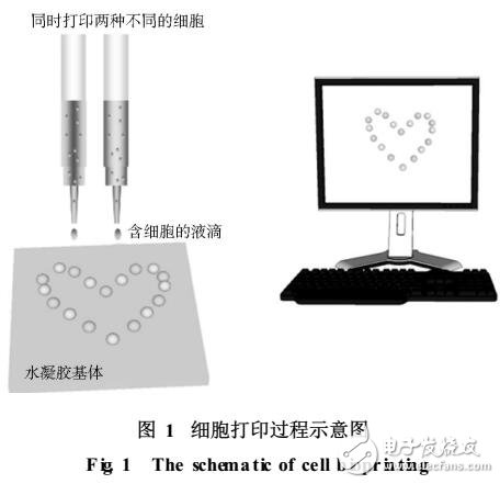 細胞打印技術及應用