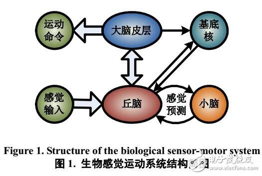 基于BP神經(jīng)網(wǎng)絡(luò)的機器人感覺運動系統(tǒng)