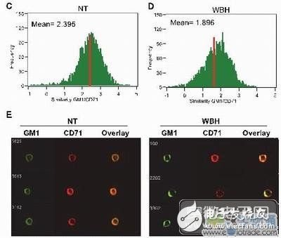 基于高內(nèi)涵顯微成像流式細(xì)胞儀的免疫學(xué)研究