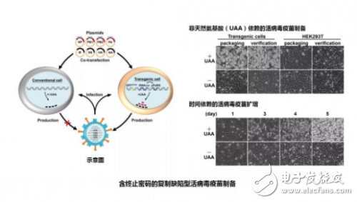 2017年度中國科學(xué)十大進(jìn)展解讀