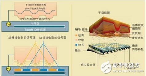 指紋識別傳感器技術(shù)的演變歷程